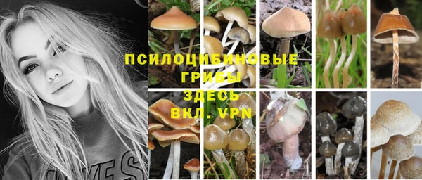 apvp Алексеевка